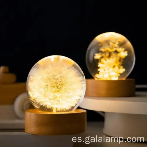 Luz eterna de la noche de flores